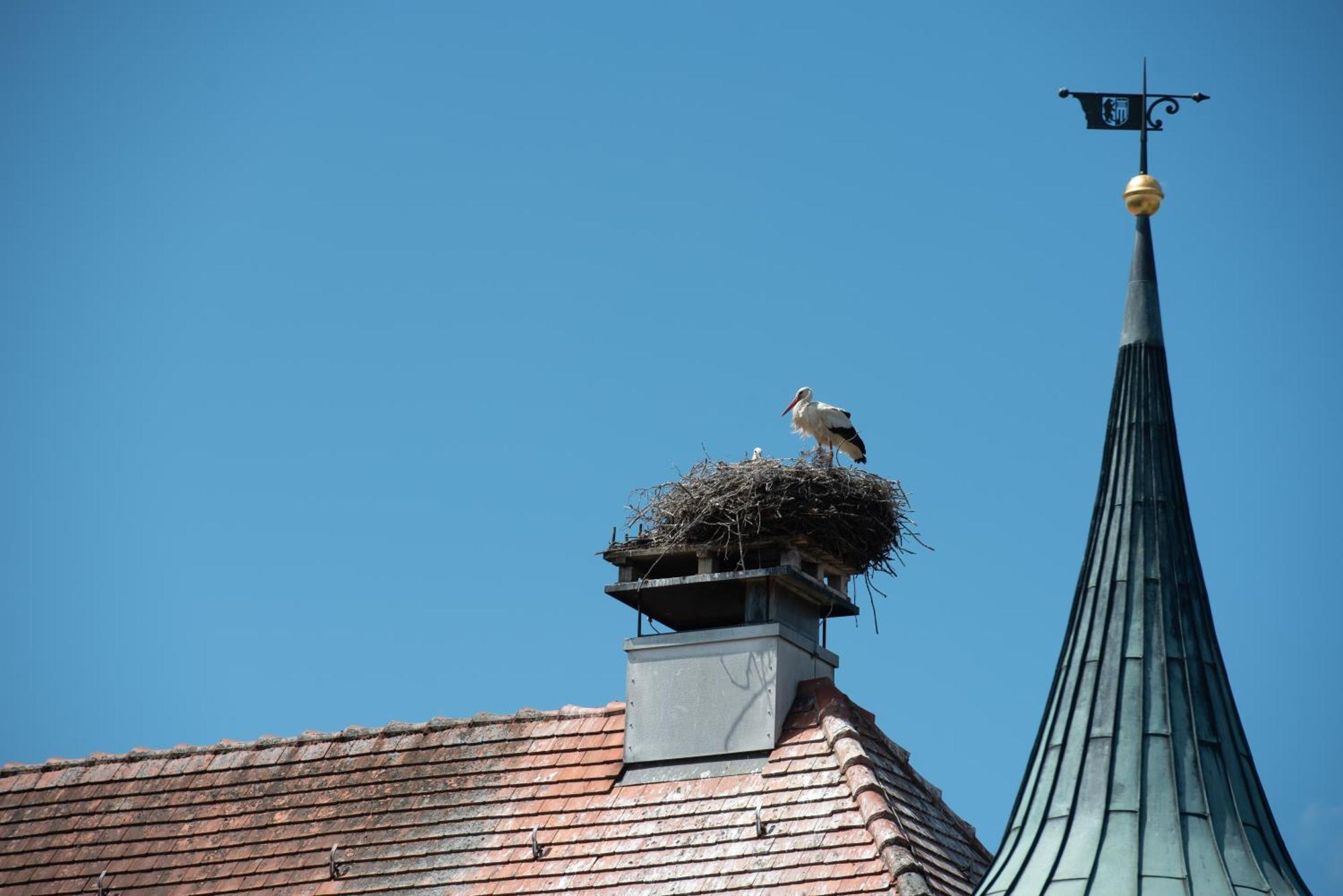 Boutique - Hotel Zum Schloss Amtzell Bagian luar foto